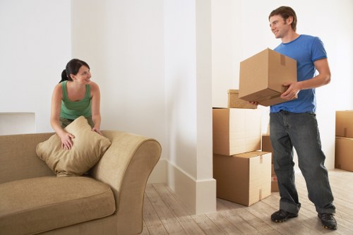 Professional movers handling fragile items in a Hither Green property