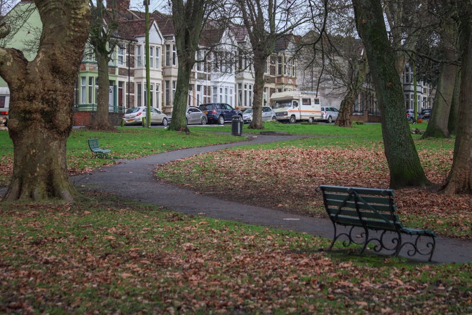A photograph of Mountsfield Park showing a winding pedestrian pathway covered in fallen leaves, with several empty green metal benches positioned along the path, surrounded by tall trees with bare branches. In the background, there are multi-storey Victorian-style terraced houses with bay windows, and parked cars on the street, including a white van that is likely involved in a home relocation or furniture transport process. The scene appears to be late autumn or early winter, with overcast lighting. This setting demonstrates the typical environment where house removals or moving services by Man With a Van Hither Green might operate, with the park providing space for loading and unloading furniture or boxes during the loading process for park side homes.