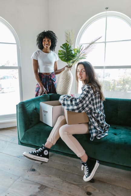 Inside a well-lit room with large arched windows, two women are engaged in a home relocation process. One woman, standing near a white vase holding a large leafy plant, has curly black hair and is dressed in a white t-shirt and patterned trousers. She is smiling and observing as the other woman, sitting on a dark green sofa, prepares to load or move cardboard boxes; she has long brown hair, is wearing a plaid shirt over light-colored trousers, and black high-top sneakers. The sofa is positioned against the windows, and the wooden flooring underneath is visible. The scene captures activities related to packing and moving furniture and belongings during a house removal organized by Man With a Van Hither Green, a professional service specializing in furniture transport and home relocation steps.